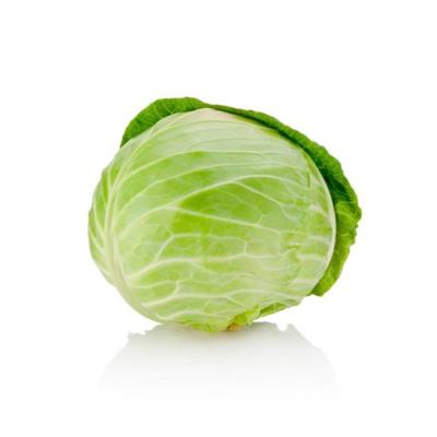 Китай Wholesale bulk delicious green fresh cabbage for sale продается