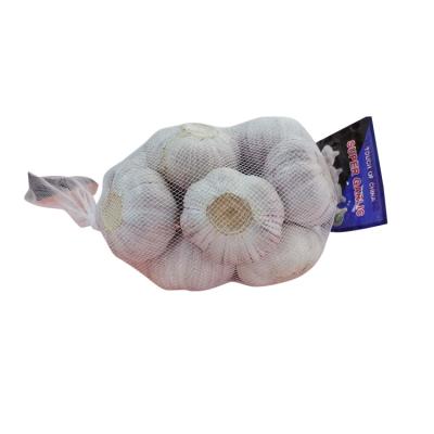 China Hot sales high quality Chinese fresh Natural white garlic Fresh White Garlic for sale