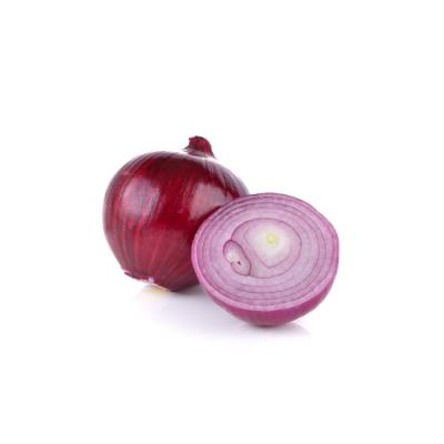 China Factory direct selling fresh red onion new crop supplier for sale