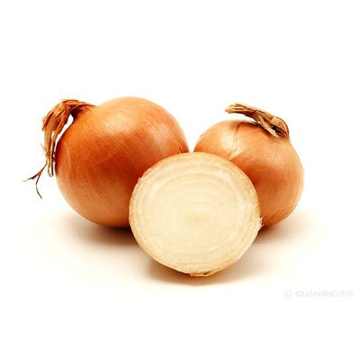 China Premium Grade New Crop Natural Fresh Small Onion Exporters from china for sale