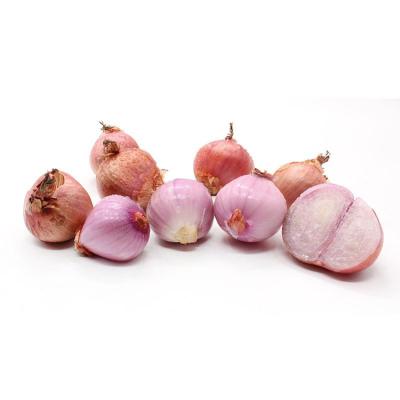 China Export chinese healthy onion fresh shallot with best prices for sale