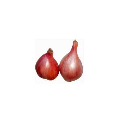 China Hot sell big wholesale fresh Pure natural shallot in bulk exporters in china for sale