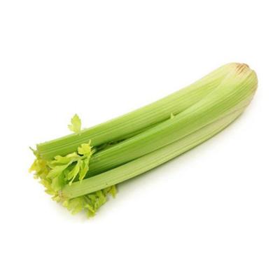 China Pure natural organic green vegetables wholesale fresh delicious green celery for sale