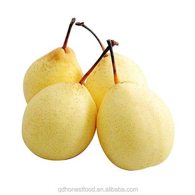 China China High Quality Fresh Fruit Sweet Crown Pear green pear Te koop