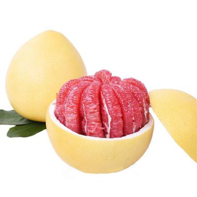 Chine Wholesale price of china pure natural organically grown sweet juicy red pomelo à vendre