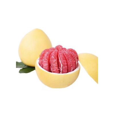 China 2020 New fresh fruit delicious juicy red meat pomelo for sale with best price for sale