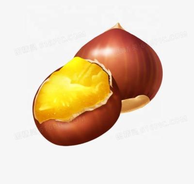 Chine Chinese New Crop fresh taian or dandong chestnut factory best price good quality à vendre