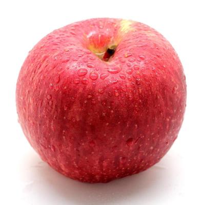 Chine New season Chinese high quality wholesale yantai red apple fresh fuji apple à vendre