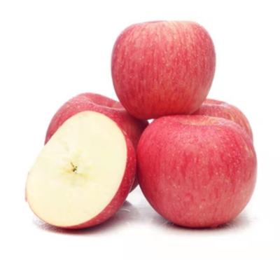 Chine Fresh Red Fuji Apple for sale from China with high quality and low price à vendre