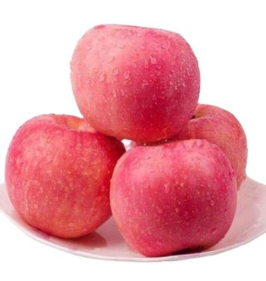 China 2021 New Crop Fresh Red Apple on sales hot sale Fresh Fuji Apple Fruits for sale