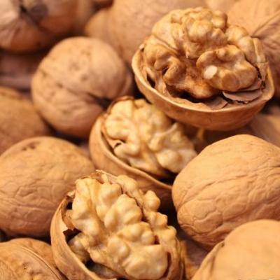 Κίνα New crop Chinese 2020 walnuts kernel halves Paper shelled Walnuts προς πώληση