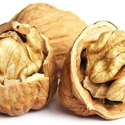 China New crop Chinese 2020 walnuts kernel halves Paper shelled Walnuts Te koop