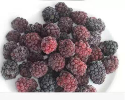 China low price Chinese IQF frozen blackberry with high quality for sale