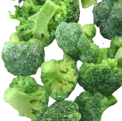 China 2022 new harvest IQF broccoli frozen broccoli dice for sale