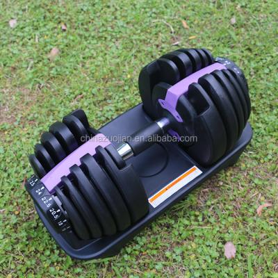 China New Adjustable Weight 552 Dumbbells Cast Iron Dumbbell Plate for sale