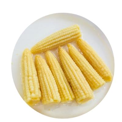 China New crop canned fresh baby corn in factory price for sale