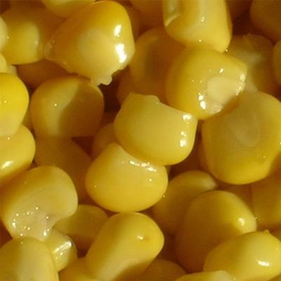 China Manufacturer canned corn in box 184g for sale