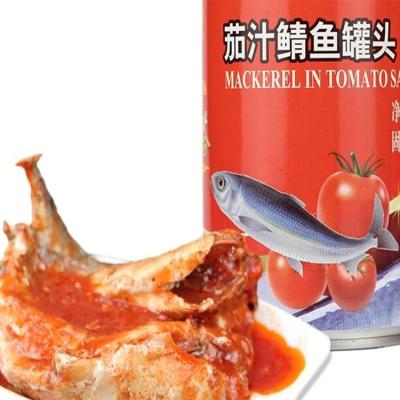 China Canned Sardines Canned Sardines Mackerel Canned Mackerel Canned Seafood for sale