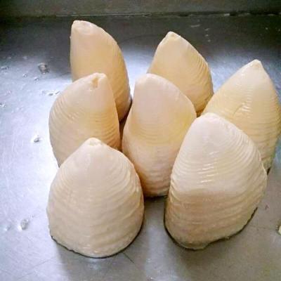 China Canned Canned Bamboo Sprouts Half Slice Whole Strip for sale