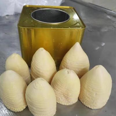 China Good quality boxed spring canned bamboo shoot 3kg whole for sale