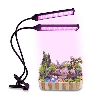 China Seed Tailoring Plant Led Desktop Grow Light Dimmable Three Tube Sync Full Spectrum LED Grow Light For Home for sale