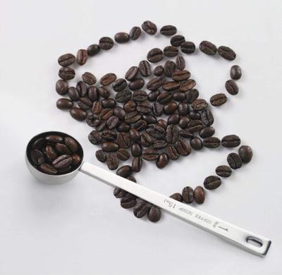 China For Coffee 304 Stainless Steel Coffee Scoop , 1 Stainless Steel Table Spoon for sale