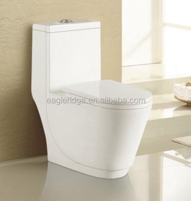 China Double-Flow Eagleridge Women WC Toilet Made in China for sale