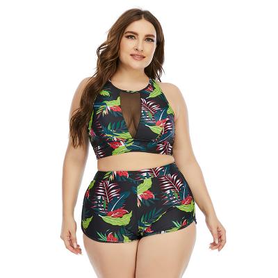 China Fashion Breathable Swimwear And amp Beach Wear High Waist Sublimation Printing Brazilian Bikini for sale