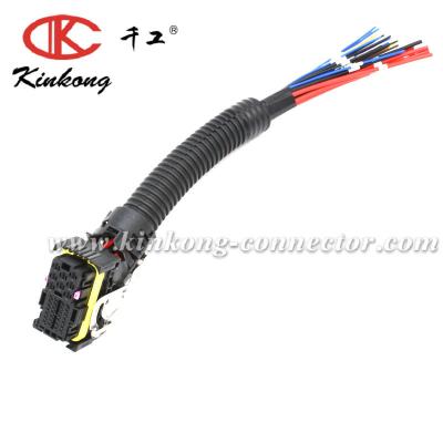 China Automobile EDC7 Diesel Fuel Installation ECU Second Plug Connector Automotive Wiring for sale