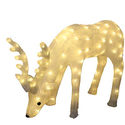 China Christmas ACRYLIC Decorative Acrylic Deer Outdoor Led Light With Transformer Fairy Lights Christmas Festival for sale