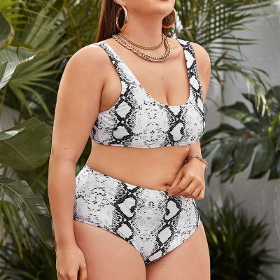 China New Sexy Custom Made Luxury Cloth Copy Windproof Plus Size Bikini Bandeau Beachwear Tops Swimwear Women Two Piece Swimsuit for sale