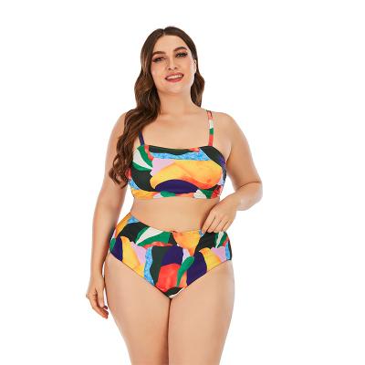 China Manufacturer Custom New Plus Size Bandeau Beachwear Bikini Print Swimwear Women High Waisted Windproof Sexy Two Piece Swimwear for sale