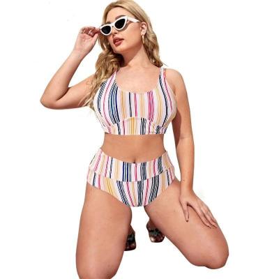 China New high quality striped print custom made windproof plus size bikini tops swimwear Bandeau beach wear women two piece sexy swimsuit for sale