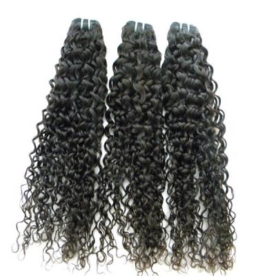 China Indian Eurasian Curly Kinky Curly Human Afro Unprocessed Virgin Burmese Natural Raw Curly Hair Bundles Vendors French Curly Braiding Hair for sale