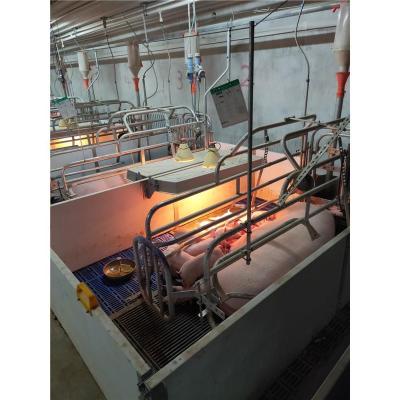 China Long Lifespan Good Price Pigsty Equipment Fattening Stall Cage Pigs Farrowing Crates for sale