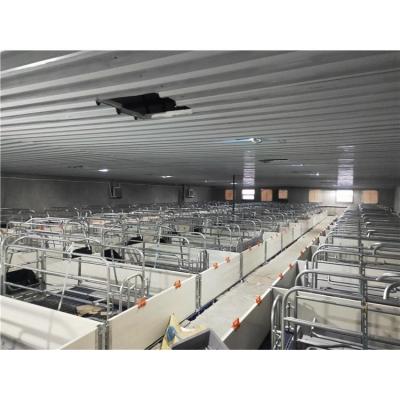 China New Design Cage Long Lifespan Piggery Farm Equipment Used Pig Farm Farrowing Crates for sale