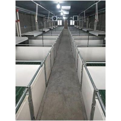 China Wholesale Price Crate Pig Pig House Equipment Anti - Corrosion Double Weaning Farrowing Stall for sale