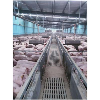 China Wholesale Anti-Corrosion Open Ground Sow Crates Farm Equipment Weaning Farrowing Stall For Pig House for sale