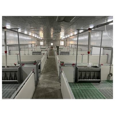 China Anti - Corrosion Galvanized Crate Pig House Equipment Weaning Farrowing Feeding Stall For Sale for sale