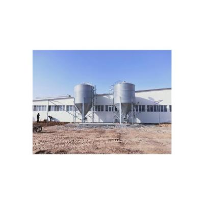 China Farm grain storage auger steel grain silo/pig poultry farm cost galvanized steel silo for sale