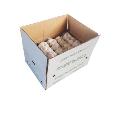 China Small Packet Of Fresh Natural Fresh Garlic White Garlic In Carton Cheap Price In China Fresh Organic Garlic for sale