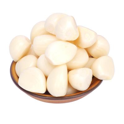 China Fresh Garlic Skin Garlic Exporters China Vacuum Pack Full Grain Garlic Clove for sale