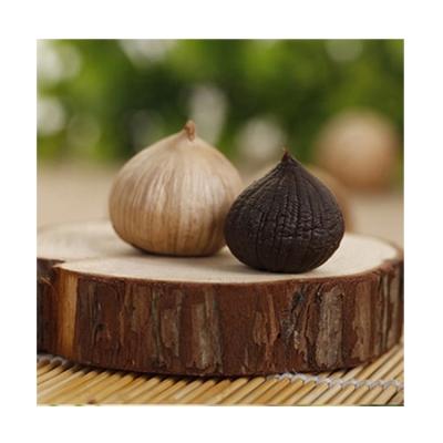 China Best Quality Fresh Black Garlic New Cultured Black Garlic HACCP Black Garlic for sale