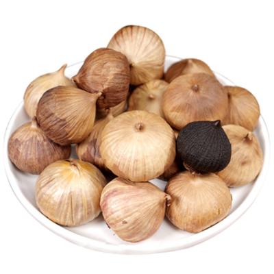 China Best quality dry black garlic for wholesale new black garlic cultivation black garlic for sale