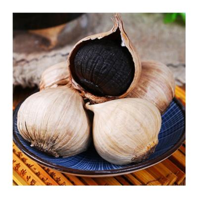 China Healthy High Quality Solo Black Garlic Food Dry Chinese Black Garlic Black Garlic for sale