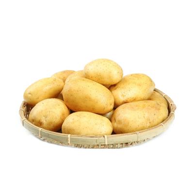 China Fresh new export quality Chinese culture fresh potato potato sweet potato for wholesale for sale