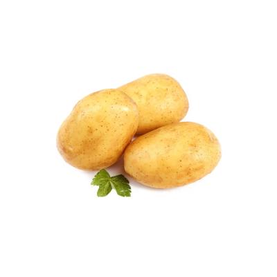 China Best Quality Cheap Price Hot Sale Fresh Fresh Potatoes Bag Mesh Sweet Potato Fresh Potatoes for sale