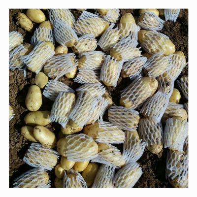 China Wholesale New Holland Fresh High Quality Crop Potato Potato In Fresh Box Sweet Potato for sale