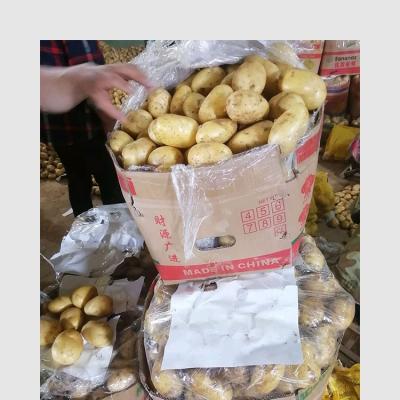 China Wholesale Potato 70g-250g Fresh Organic Potato Cheap Price for sale