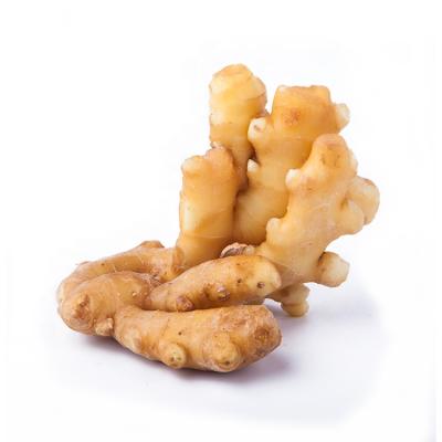 China China Exporters New Cultivation Best Quality Fresh Fresh Root Ginger Laiwu Ginger Wholesale for sale